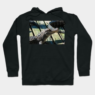 big smiling alligator Hoodie